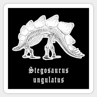 🦖 Fossil Skeleton of a Stegosaurus ungulatus Dinosaur Sticker